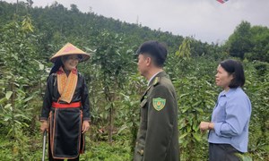 Quảng Ninh: Động lực phát triển kinh tế - xã hội vùng đồng bào dân tộc thiểu số 