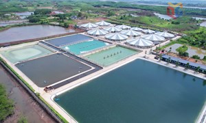 Quảng Ninh: Phát huy nội lực, nâng tầm nông thôn mới