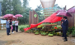 Đà Nẵng tập trung nguồn lực xây dựng nông thôn mới và phát triển vùng đồng bào dân tộc thiểu số