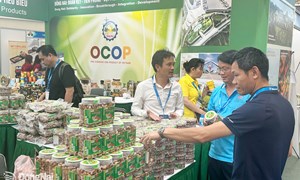 Đồng Nai: Mở rộng các kênh quảng bá hàng Việt