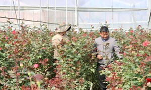 Lâm Đồng: “Hạt nhân” ở vùng đồng bào dân tộc thiểu số 