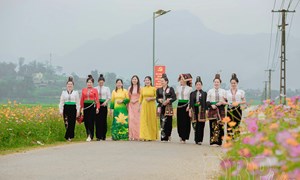 Điện Biên: Mỗi con đường - Vạn sắc hoa