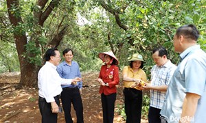 Xã Đồng Tâm, tỉnh Đồng Nai xây dựng nông thôn mới gắn với nông nghiệp bền vững