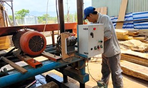 Lâm Đồng: Vốn chính sách đánh thức sinh kế ở vùng khó