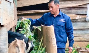 Lâm Đồng: Ý Ðảng - lòng dân trong công tác giảm nghèo vùng đồng bào dân tộc thiểu số