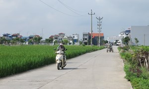 Hải Phòng: Nông thôn mới hướng tới hiện đại, bền vững