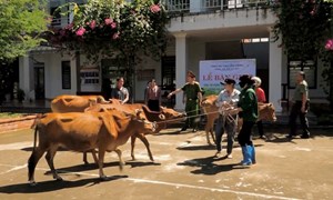 Lâm Đồng: Trao sinh kế, gieo niềm tin thoát nghèo cho đồng bào dân tộc