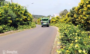 Đồng Nai: Xây dựng nông thôn mới vì chất lượng đời sống người dân