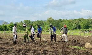 Chăm lo đồng bào bằng sinh kế bền vững