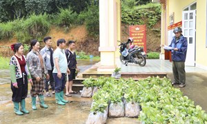 Điện Biên: Xây dựng nông thôn mới trong giai đoạn mới