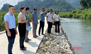 Cao Bằng: Giám sát việc triển khai nguồn Quỹ Cứu trợ tỉnh tại 2 xã Quang Trung và Độc Lập