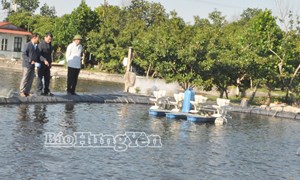 Phong trào thi đua “Tuổi cao - Gương sáng” ở xã Quang Hưng 