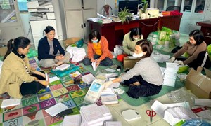 “Đi từng nhà, rà từng người” để phát thẻ cử tri