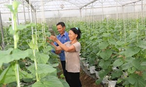 Mặt trận Tổ quốc xã Thiệu Tiến, tỉnh Thanh Hóa phát huy hiệu quả các phong trào thi đua yêu nước