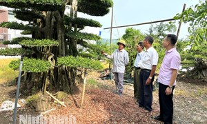 Ninh Bình triển khai phong trào “Gửi tiền tiết kiệm chung tay vì người nghèo”