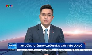 Tạm dừng tuyển dụng, bổ nhiệm, giới thiệu cán bộ