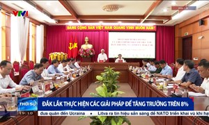 Đắk Lắk thực hiện các giải pháp để tăng trưởng trên 8%