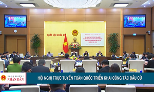 Hội nghị trực tuyến toàn quốc triển khai công tác bầu cử
