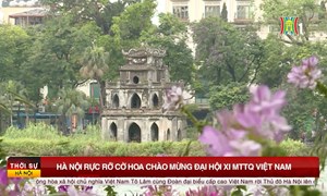 Hà Nội rực rỡ cờ hoa chào mừng Đại hội XI MTTQ Việt Nam