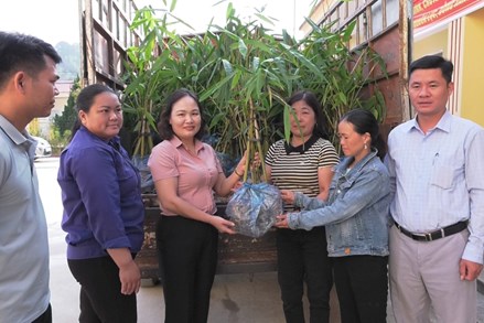 Mặt trận Tổ quốc xã Hưng Thịnh phát huy vai trò trong phát triển kinh tế