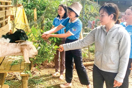 Huyện Bảo Lâm (tỉnh Lâm Đồng): Phát huy vai trò của Mặt trận và các đoàn thể trong công tác dân vận