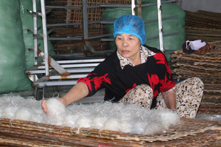 Mặt trận Tổ quốc các cấp tỉnh Nam Định vận động nhân dân tham gia bảo vệ môi trường