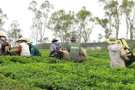 Thành phố Đà Lạt: Không ai bị bỏ lại phía sau