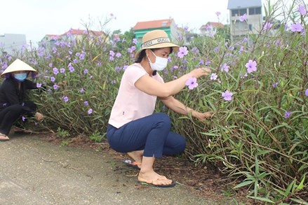 Lợi ích từ khu dân cư tự quản bảo vệ môi trường