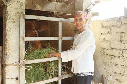 Huyện Đức Thọ phát huy vai trò của Mặt trận trong công tác giảm nghèo