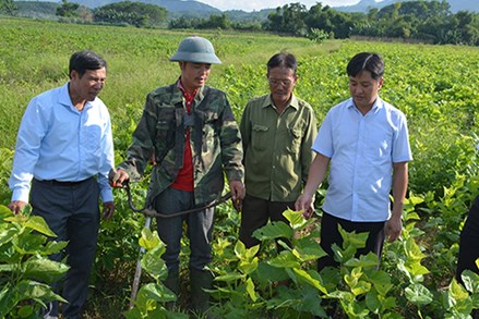 MTTQ các cấp tỉnh Yên Bái đẩy mạnh hoạt động về cơ sở