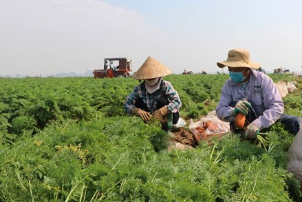 Tỉnh Bắc Ninh bứt phá xây dựng nông thôn mới nâng cao