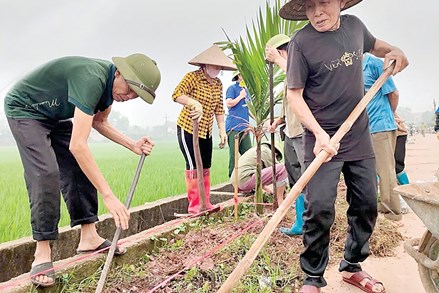 Thái Nguyên: Huy động sức dân, chung tay xây dựng nông thôn mới