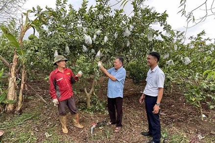 Thanh Hóa: Phát huy vai trò của MTTQ trong xây dựng nông thôn mới