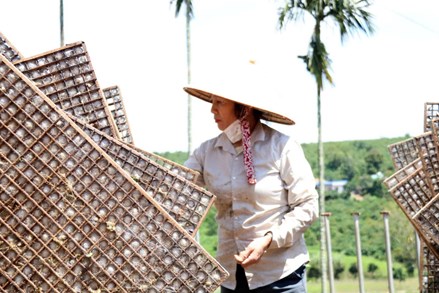 Huyện Lâm Hà thực hiện hiệu quả các chương trình, dự án giảm nghèo