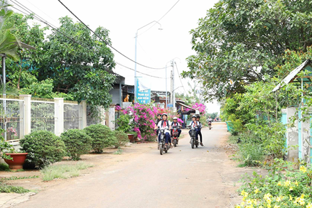 Đồng Nai tích cực xây dựng nông thôn mới