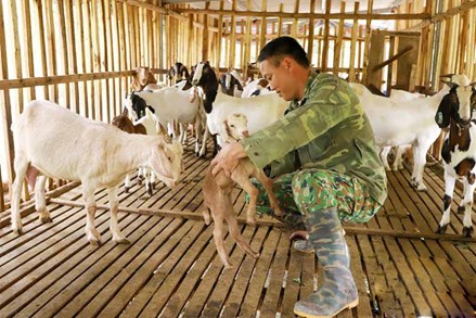 Thái Nguyên: Trao 'cần câu' giúp đồng bào dân tộc thiểu số thoát nghèo