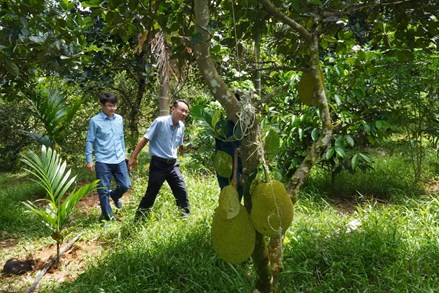 Xã Sơn Cẩm Hà xây dựng xã nông thôn mới nâng cao