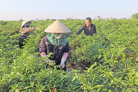 Xã Phúc Sơn xây dựng nông thôn mới nâng cao