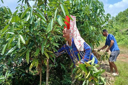 Động lực để người vùng khó thoát nghèo