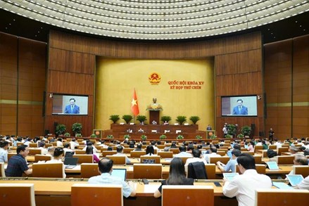 Sửa đổi để bảo đảm cơ sở pháp lý cho việc sắp xếp tổ chức bộ máy của MTTQ Việt Nam, các tổ chức chính trị - xã hội