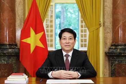 Chủ tịch nước Lương Cường gửi thông điệp chúc mừng nhân kỷ niệm 80 năm thành lập Liên hợp quốc