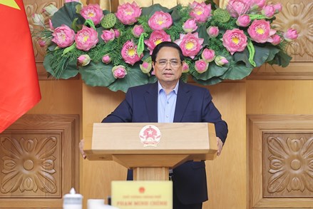 Khẩn trương ban hành quy định chức năng, nhiệm vụ, cơ cấu tổ chức của các cơ quan chuyên môn thuộc UBND cấp tỉnh, cấp xã