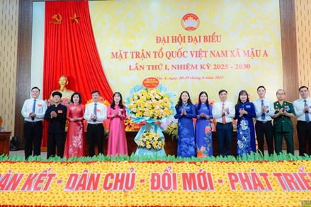 Thủ tướng yêu cầu phối hợp, tạo điều kiện tổ chức Đại hội Mặt trận Tổ quốc Việt Nam và các tổ chức chính trị - xã hội các cấp 