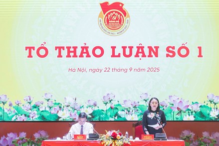 Những ý kiến thẳng thắn, sâu sắc đóng góp vào dự thảo Văn kiện trình Đại hội đại biểu Đảng bộ MTTQ, các đoàn thể Trung ương lần thứ I