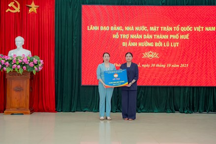 BAN VẬN ĐỘNG CỨU TRỢ TRUNG ƯƠNG PHÂN BỔ SỐ TIỀN 20 TỶ ĐỒNG HỖ TRỢ TỈNH QUẢNG NGÃI, QUẢNG TRỊ, THÀNH PHỐ HUẾ, THÀNH PHỐ ĐÀ NẴNG 