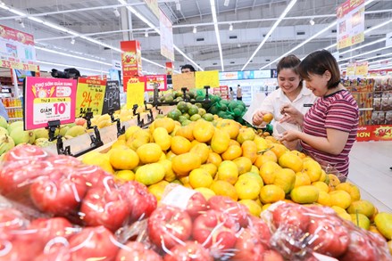 Kết luận số 207-KL/TW của Ban Bí thư về công tác bảo vệ quyền lợi của người tiêu dùng 