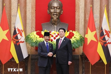 Chủ tịch nước Lương Cường hội đàm với Quốc vương Brunei