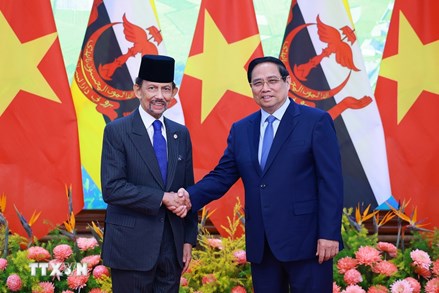 Thủ tướng Phạm Minh Chính hội kiến Quốc vương Brunei 