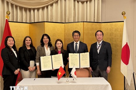 Nghị định số 313/2025/NĐ-CP của Chính phủ quy định về quản lý và sử dụng viện trợ không hoàn lại