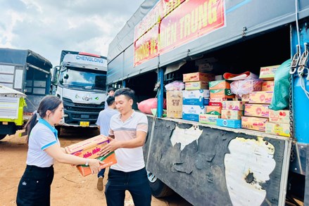 Nghị định số 03/2026/NĐ-CP: Quy định về tổ chức, hoạt động của quỹ xã hội, quỹ từ thiện